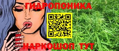 ГАЛЛЮЦИНОГЕННЫЕ ГРИБЫ Кулебаки