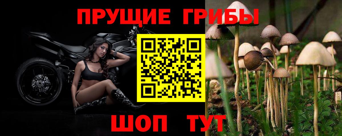 Галлюциногенные грибы Psilocybe  купить наркотик  Ирбит  Вход с VPN 